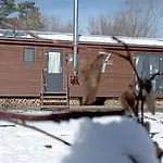 Hébergement de vacances Tiny House 